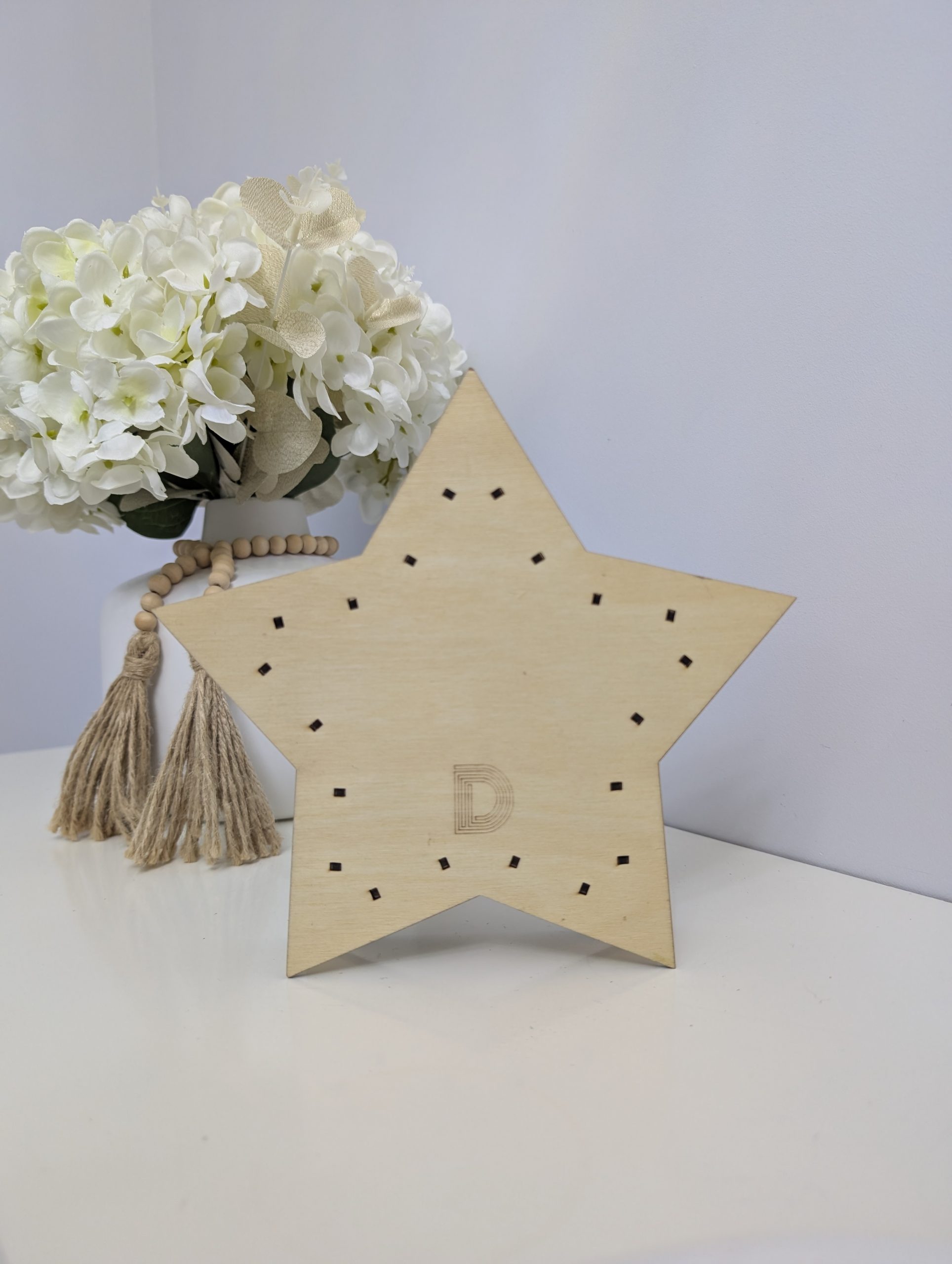 Lion and Warthog StarLight Box - Image 5